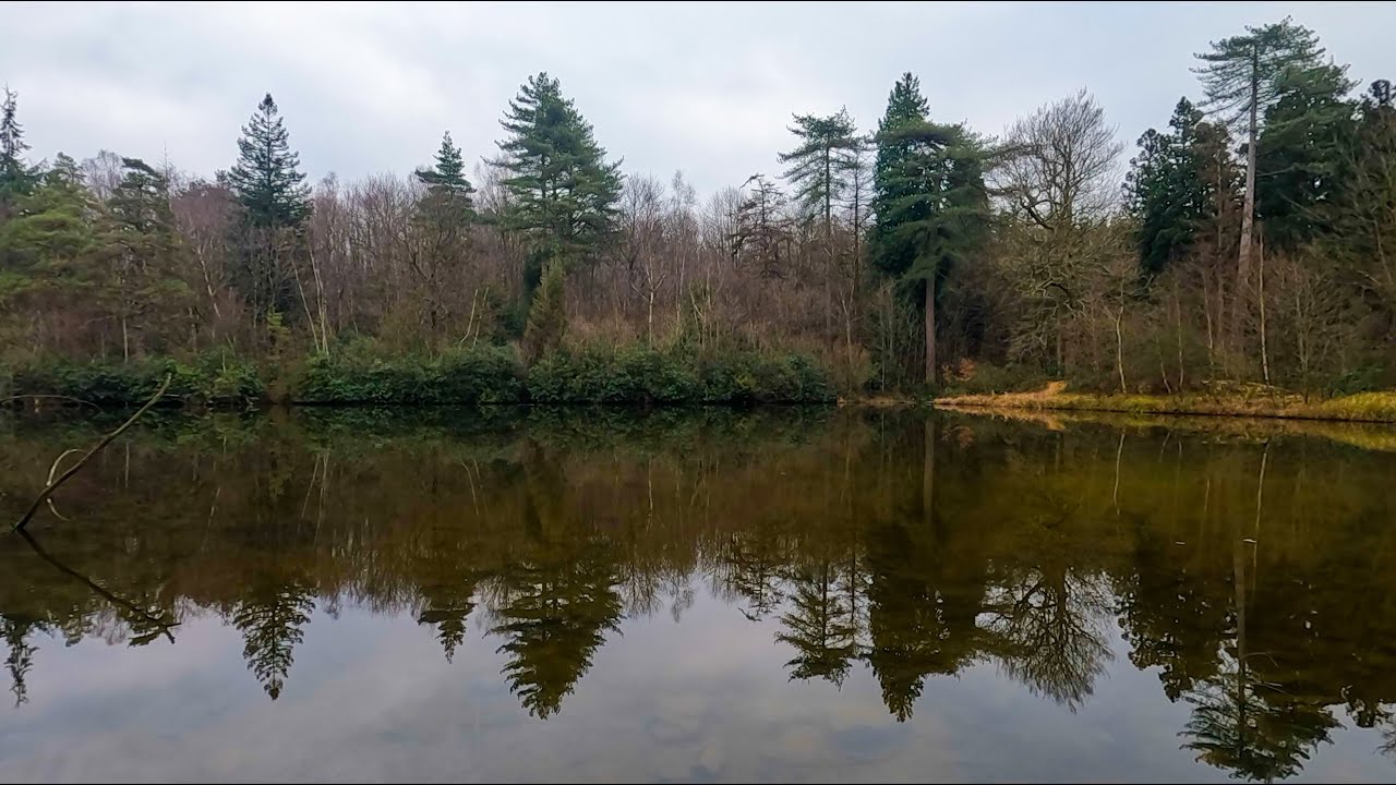 Bedgebury National Pinetum, Kent
