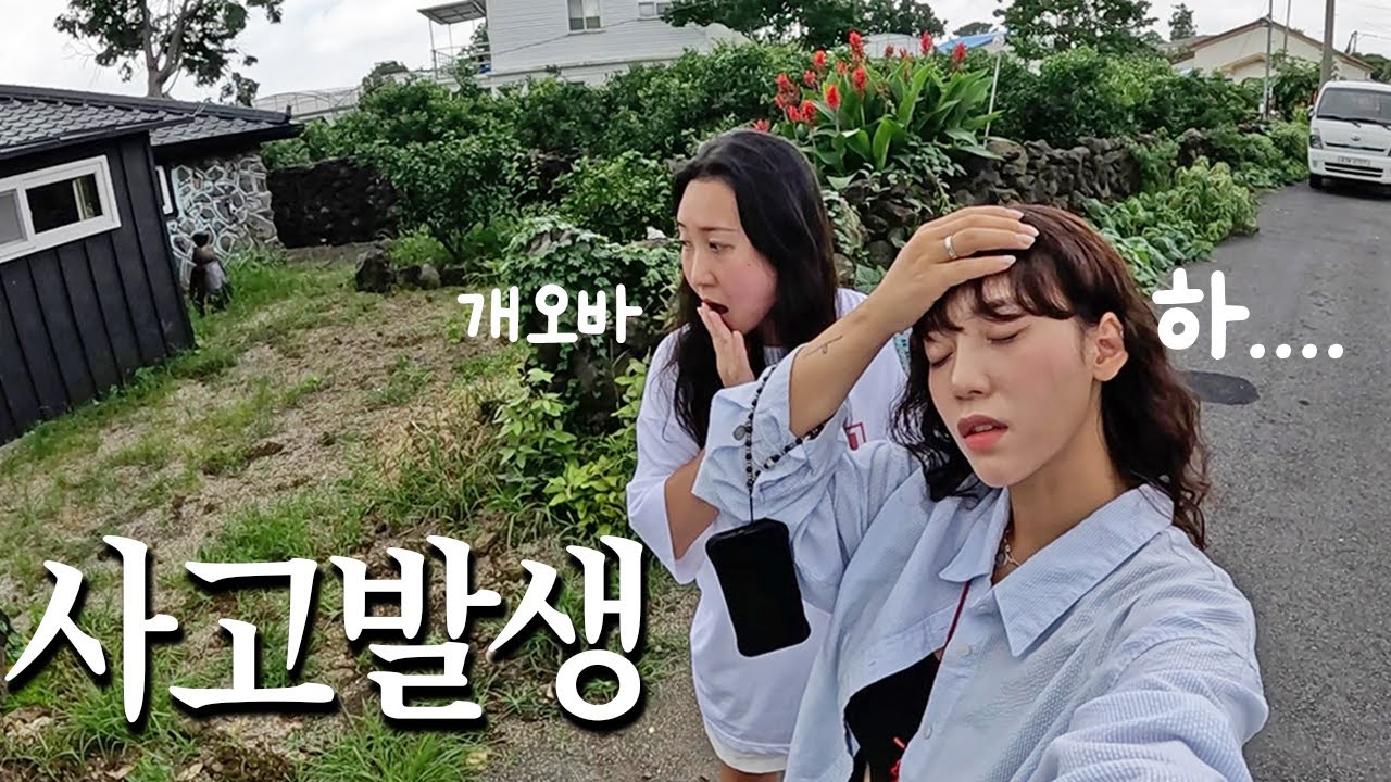 CCTV 하나 없는 제주 깡시골로 이사하고 생긴 일 - 제주6