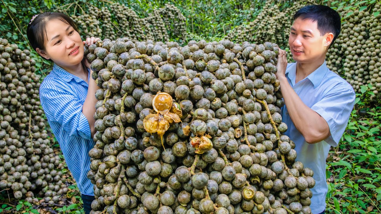 Wild Fruit Harvest — Turning Fresh Picks Into Homemade Jelly & Warm Family Time
