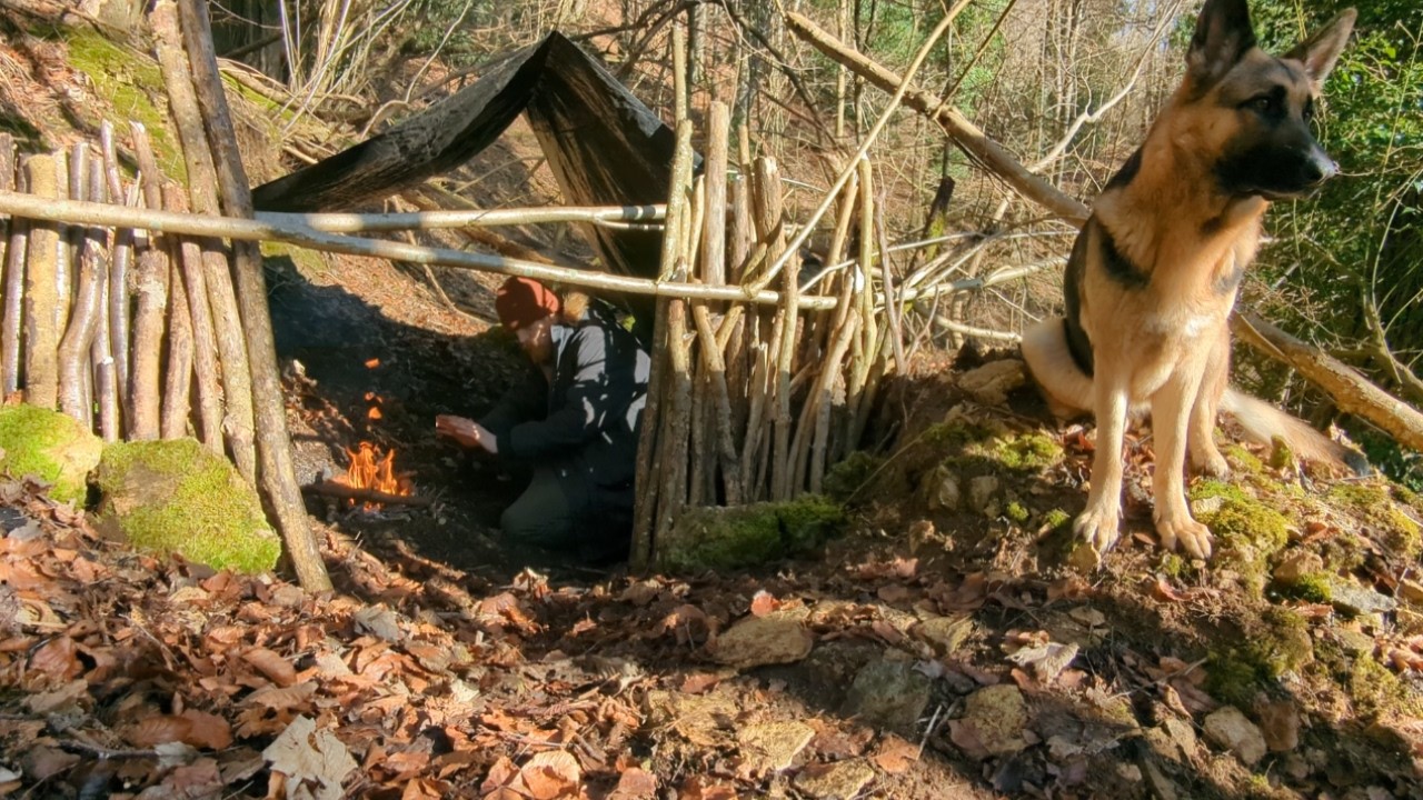 Creating a Very Quick Primitive Survival Shelter