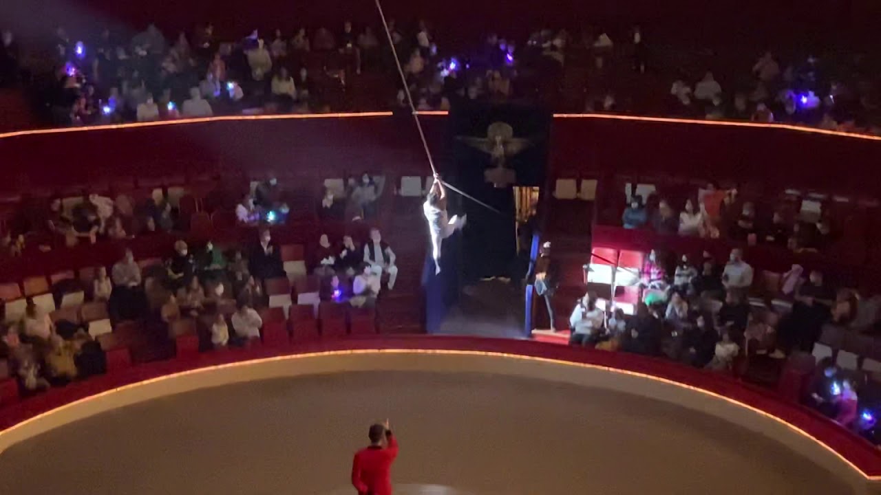 Alex Michael Trapeze