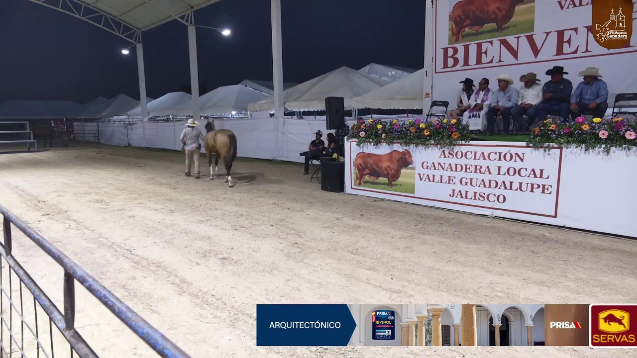 Inauguracion Expo Ganadera Valle