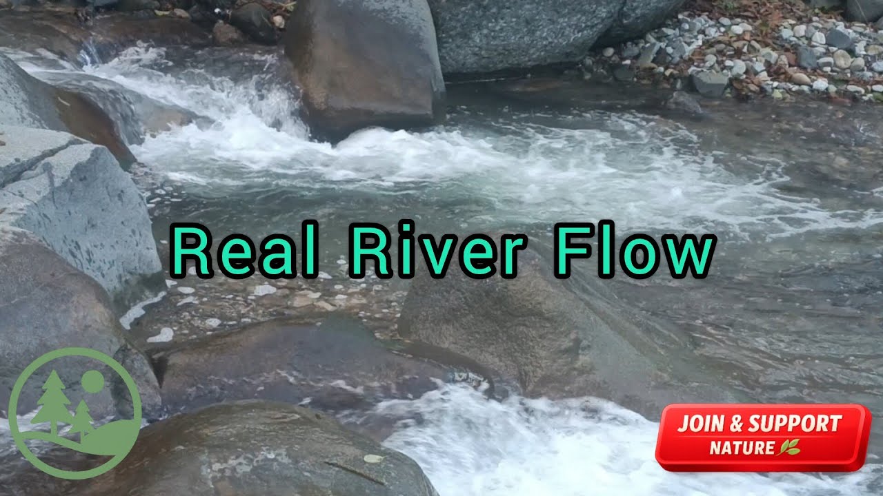Natural River Flow Sounds | Real Water Ambience