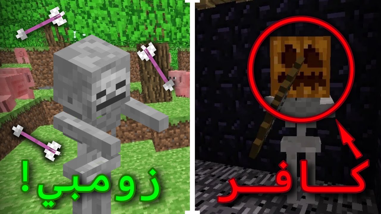 اغرب عشرة معلومات عن سكلتون في ماين كرافت (السكلتون كافر؟!)