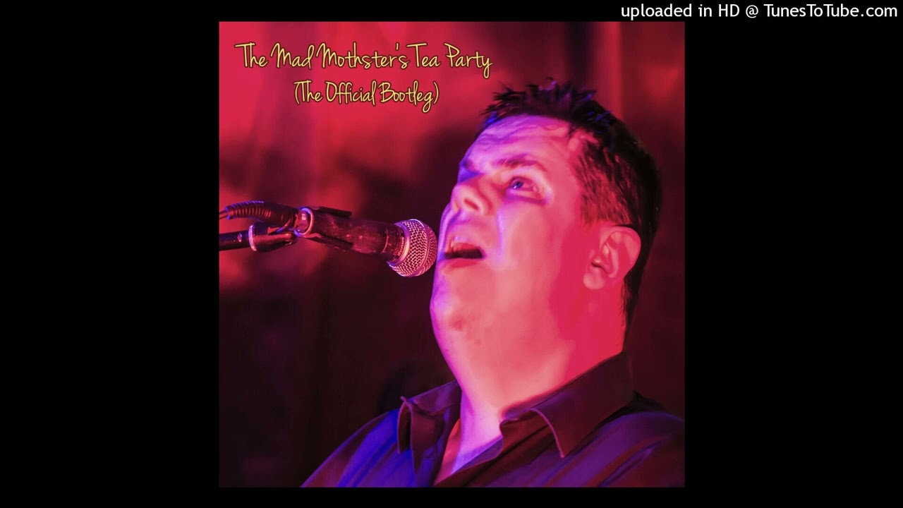 Tiger Moth Tales - Last Train (Big Big Train cover)