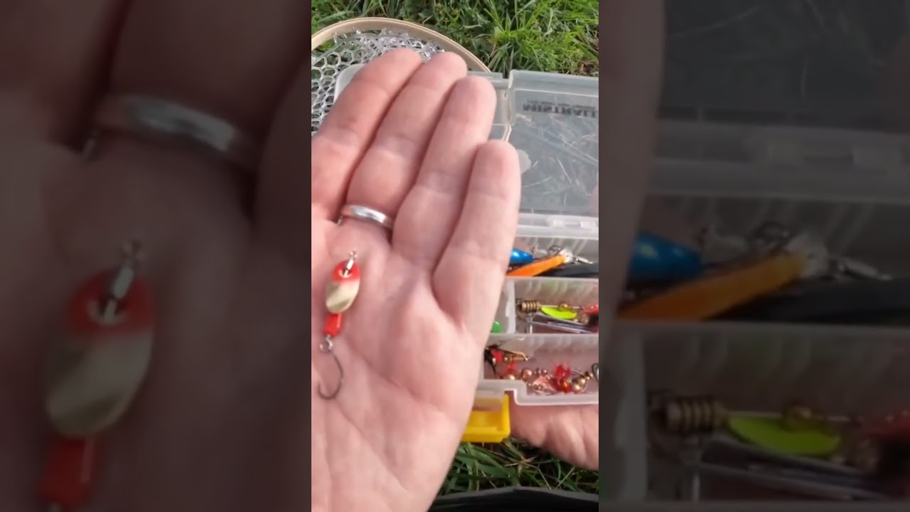Best Trout Spinner Ever #yarie #trout #fishing #troutfishing #shorts