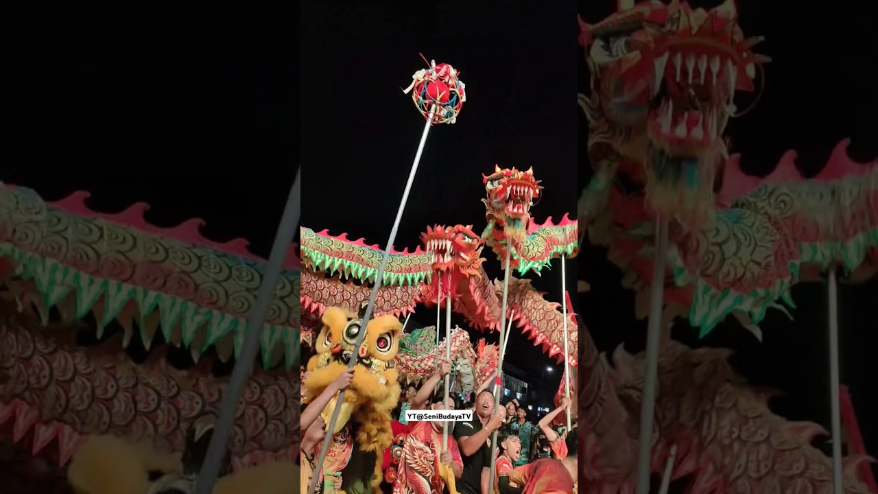 Karnaval Barongsai Naga Terbanyak#pbty2025 #cny2025 #imlek2025 #barongsai #atraksibarongsai