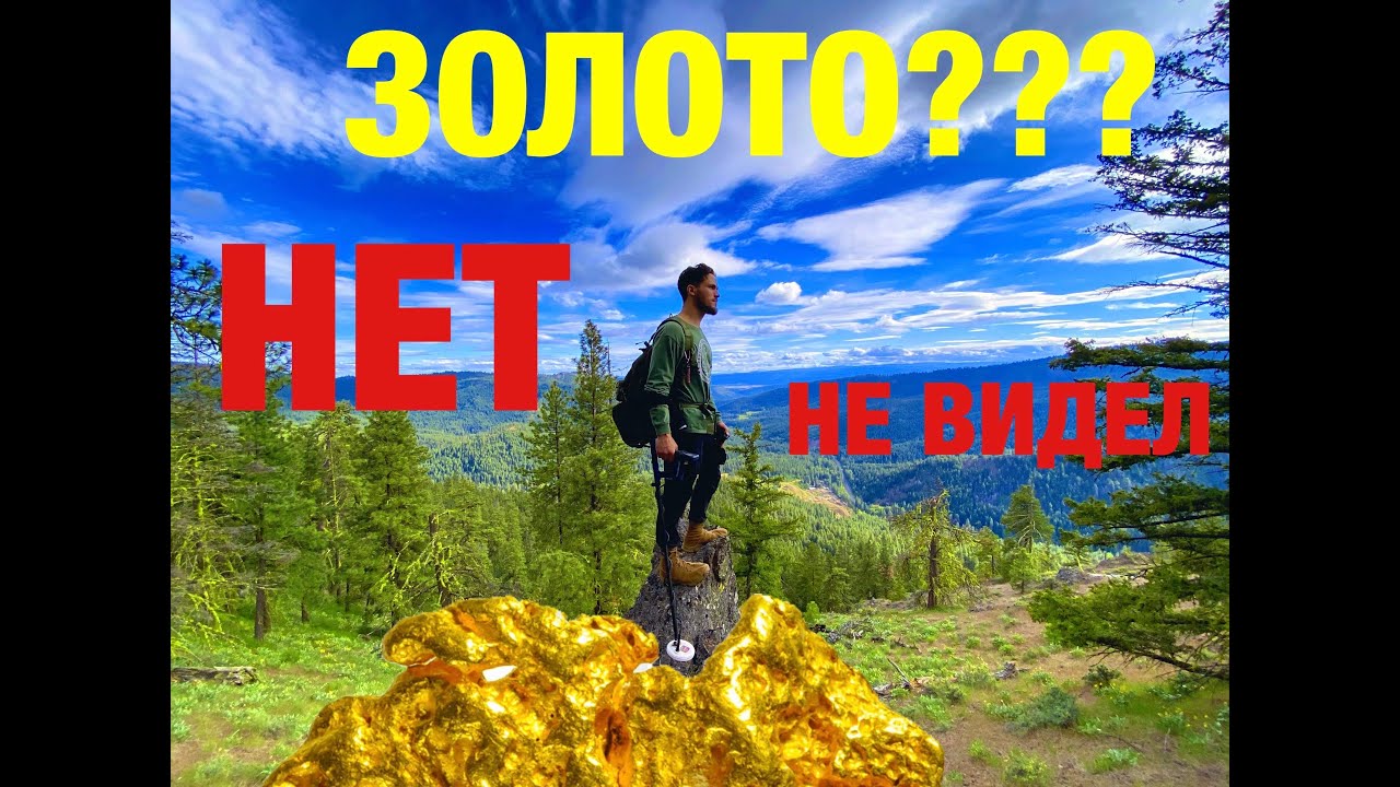 В поиске золотых самородков с помощью металлоискателя В горах США