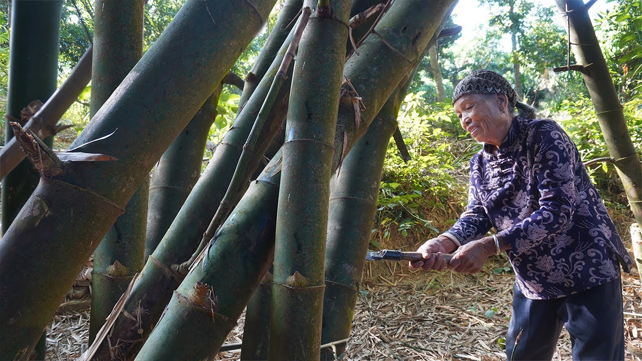 Cooking with Bamboo｜竹子也能做吃的？阿婆用新鮮竹筒搭配土雞蒸煮，味道竹香四溢｜Chinese Food 广西 美食 ｜玉林阿婆