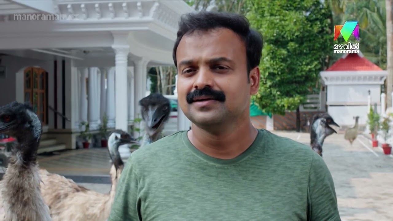 വെറുതെയല്ല കഴുതയെ കഴുത എന്ന് വിളിക്കുന്നത്... | #Panchavarnathatha