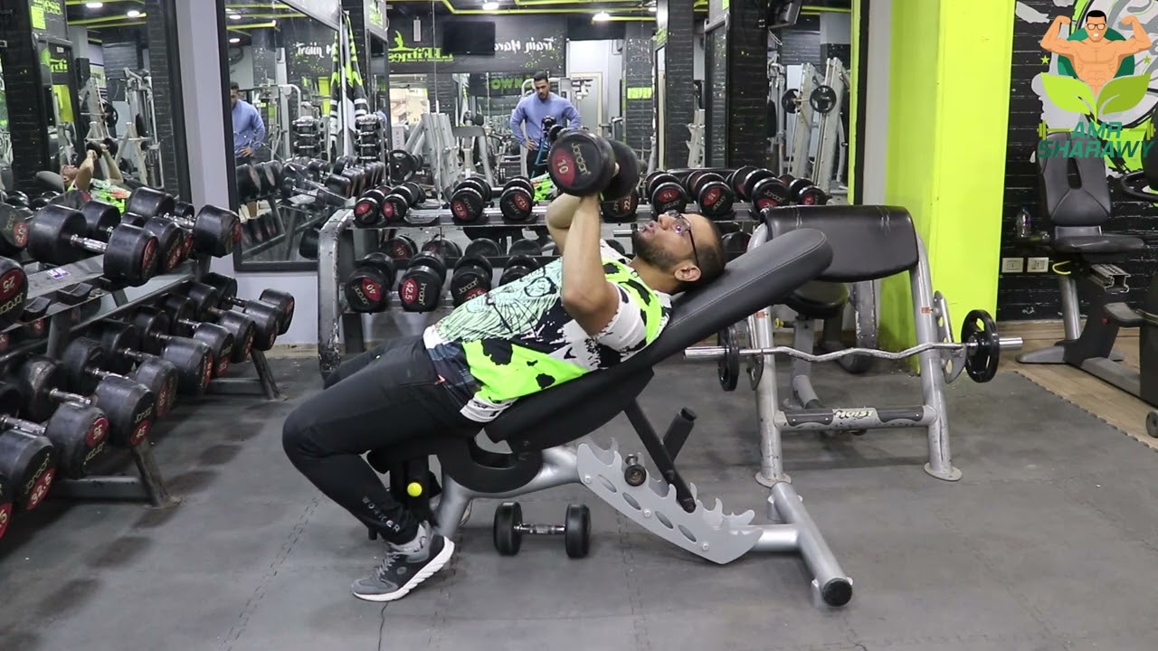 شرح تمرين تجميع دمبل عالي|incline dumbbell press