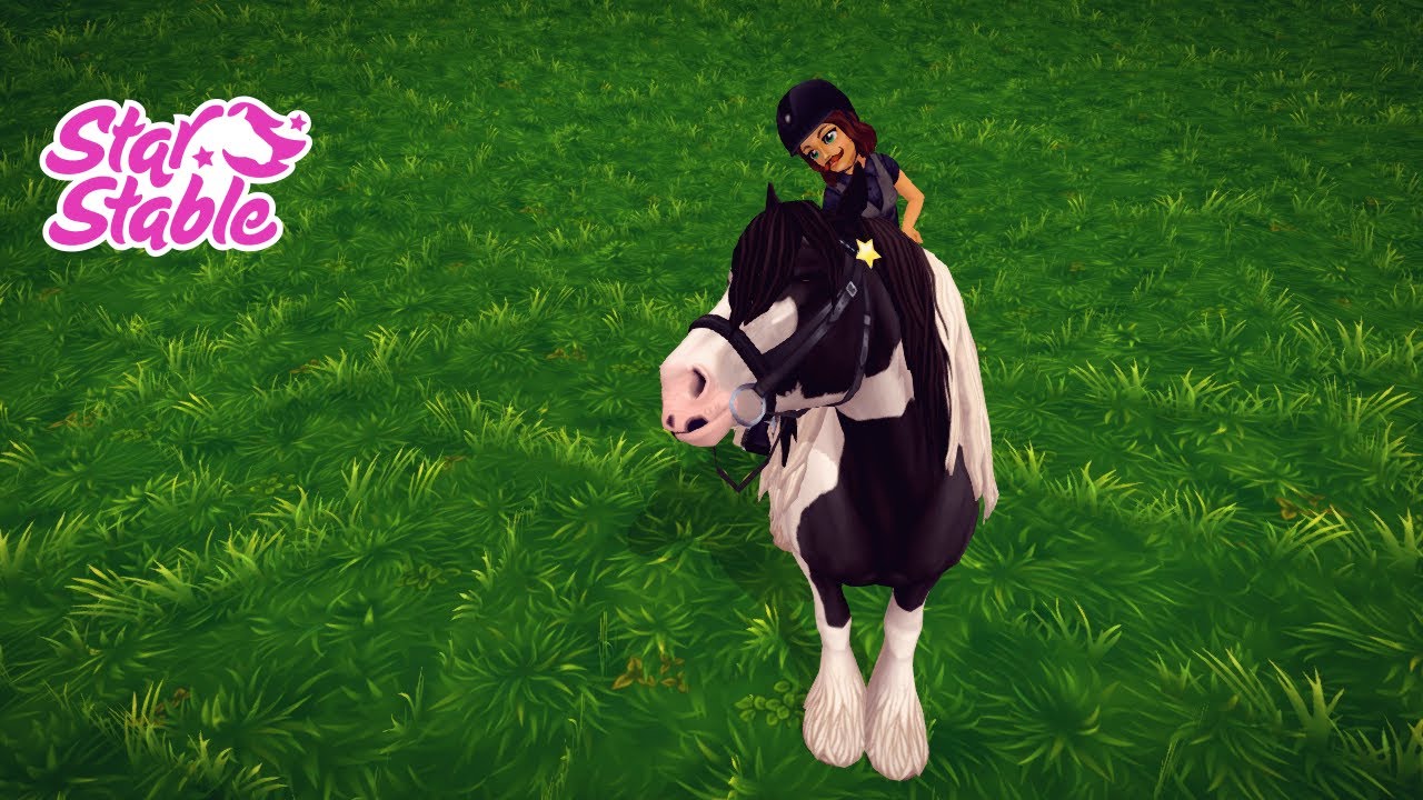 Comprando meu Cob irlandês!--Star Stable--