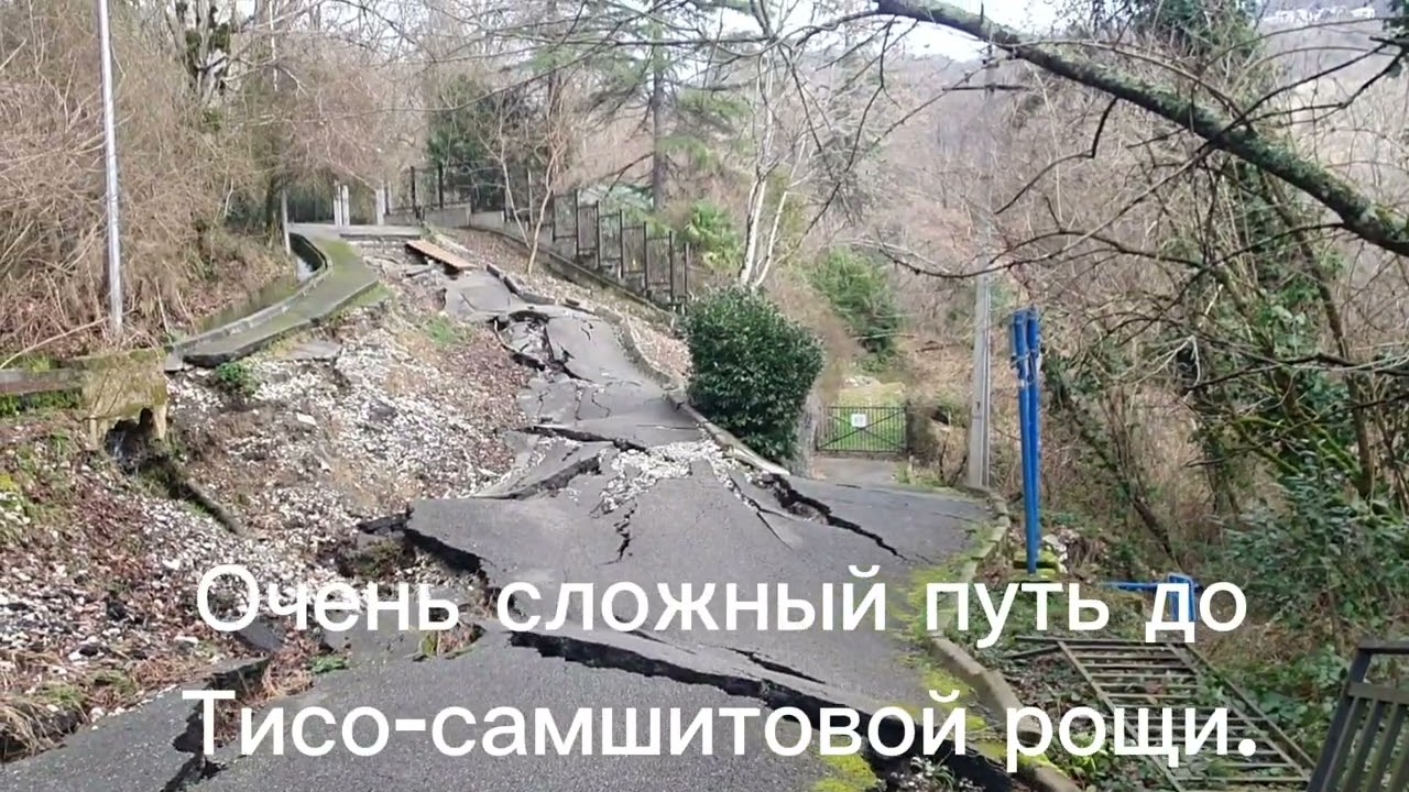 Настоящий экстрим и очень сложный путь в Тисо-самшитовую рощу. Сочи.