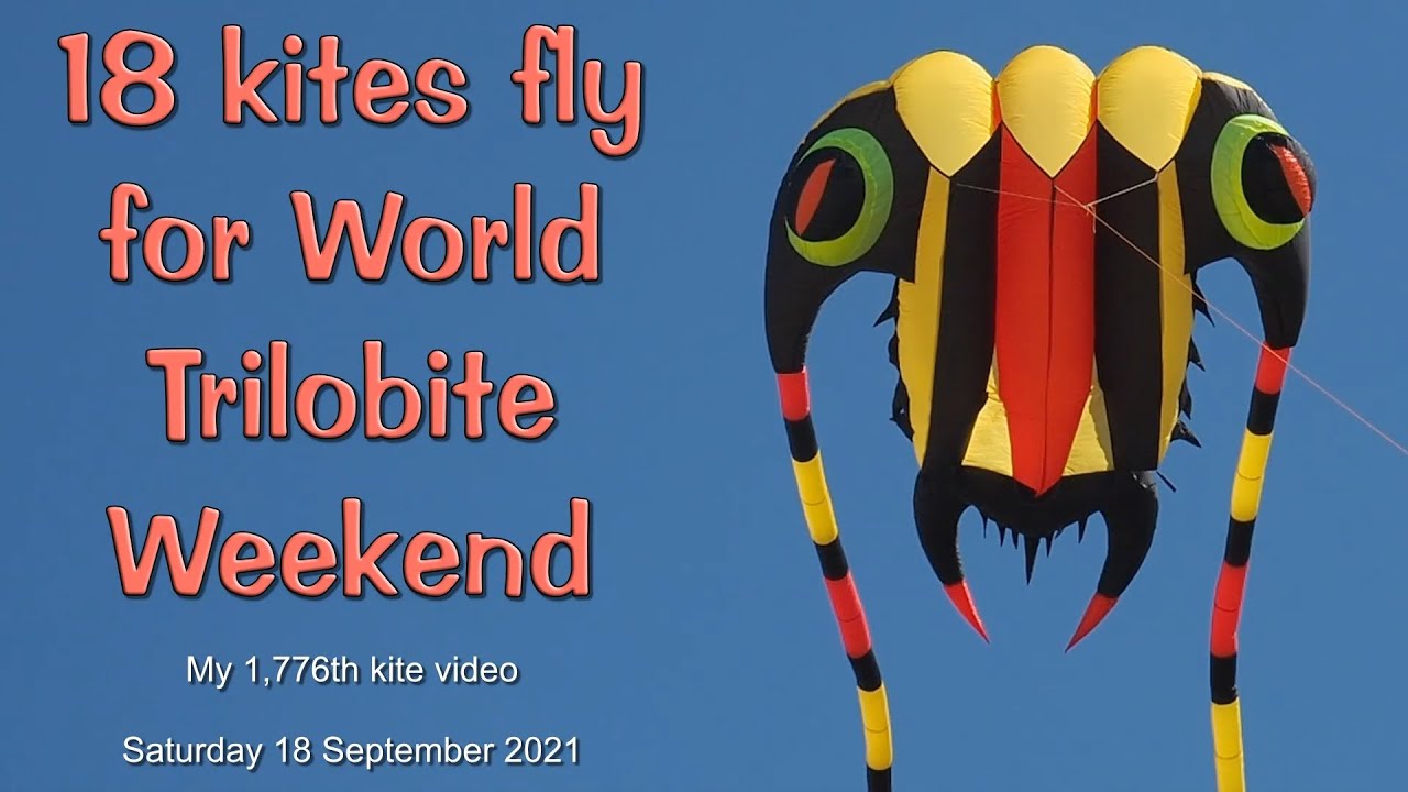 18 kites fly for World Trilobite Weekend 2021