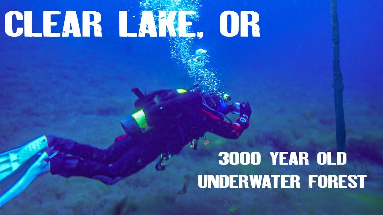 Diving Clear Lake || Nick Rinn