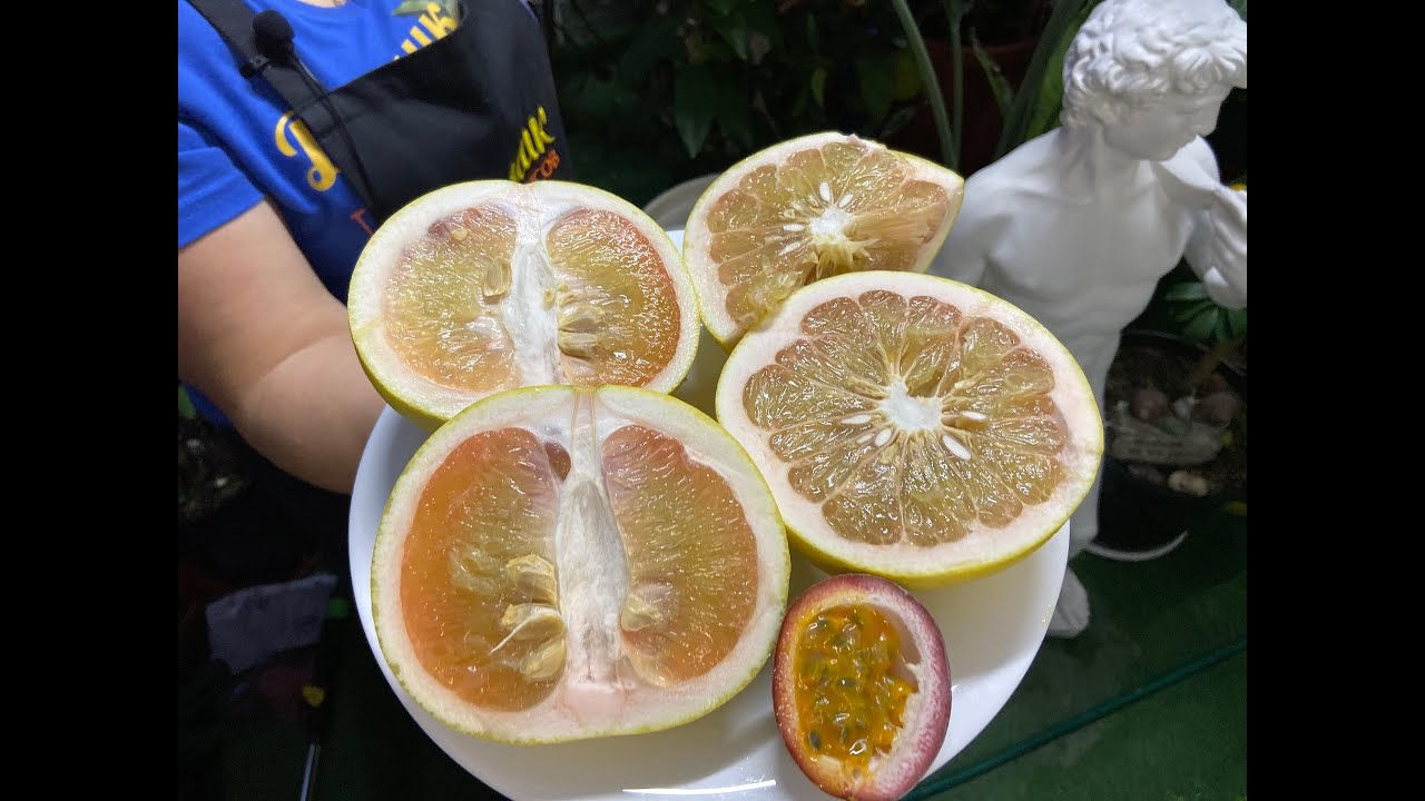 C. grandis &ldquo;Chandler&rdquo; Помело Chandler