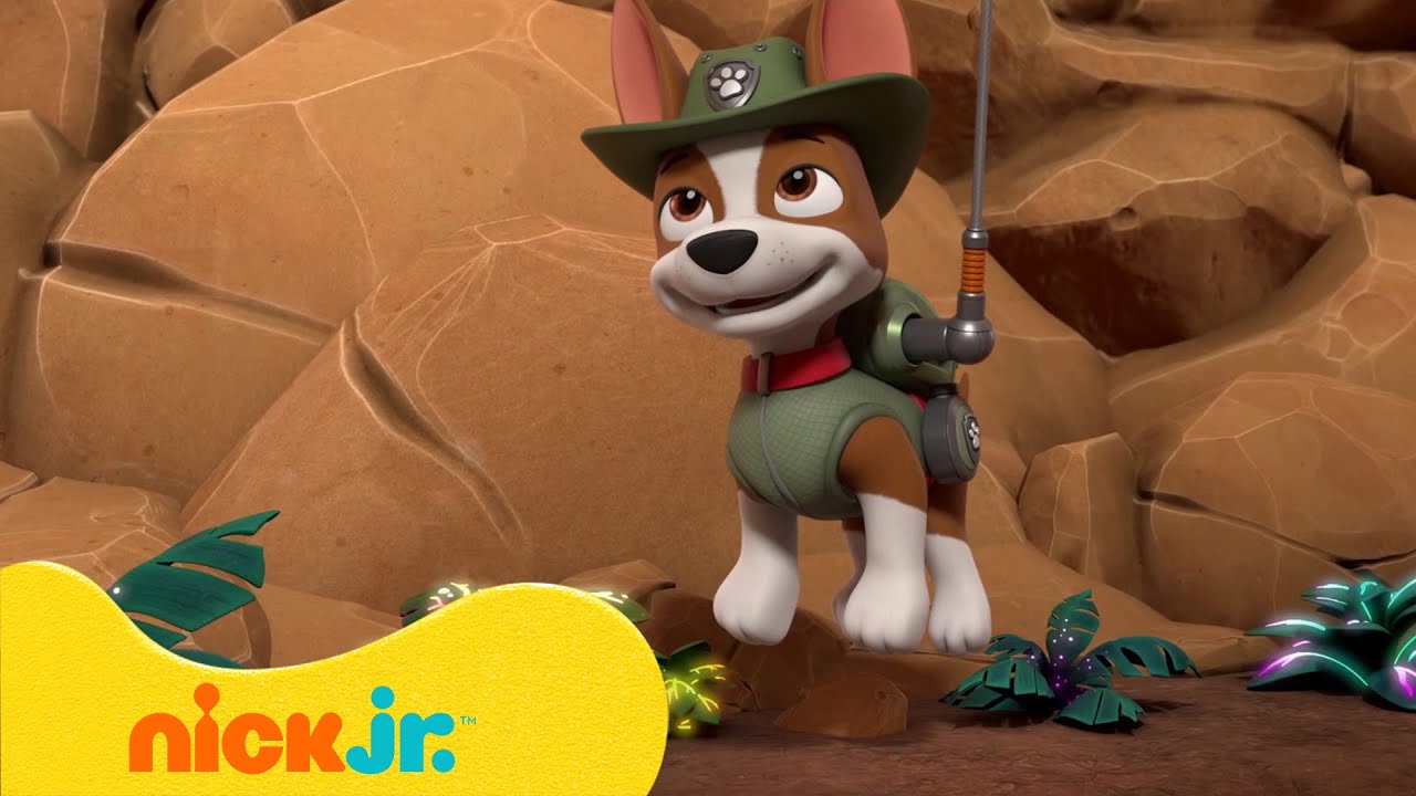 מפרץ ההרפתקאות 🐾: מחפשים את טראקר בג'ונגל | ניק ג'וניור