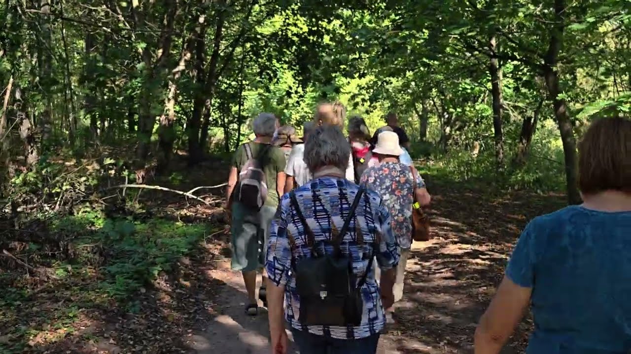Krynki - park podworski de Virion&oacute;w