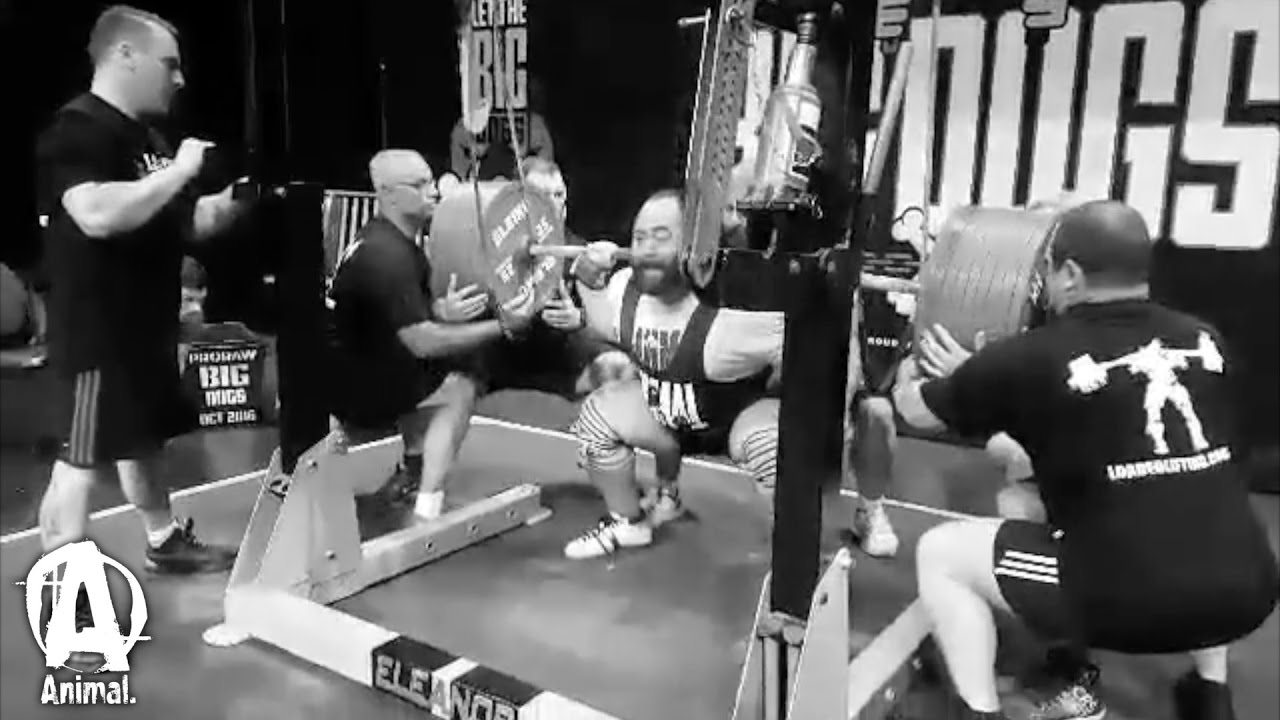 The Animal Underground: Andrey Malanichev New WORLD RECORDS, Big Dogs Pro