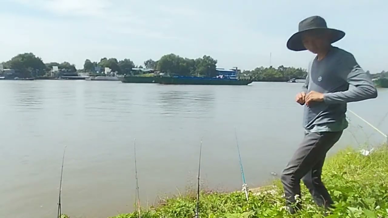 Hôm nay hai cha con mình chỡ lại sông Đồng Nai câu cá nha anh em 