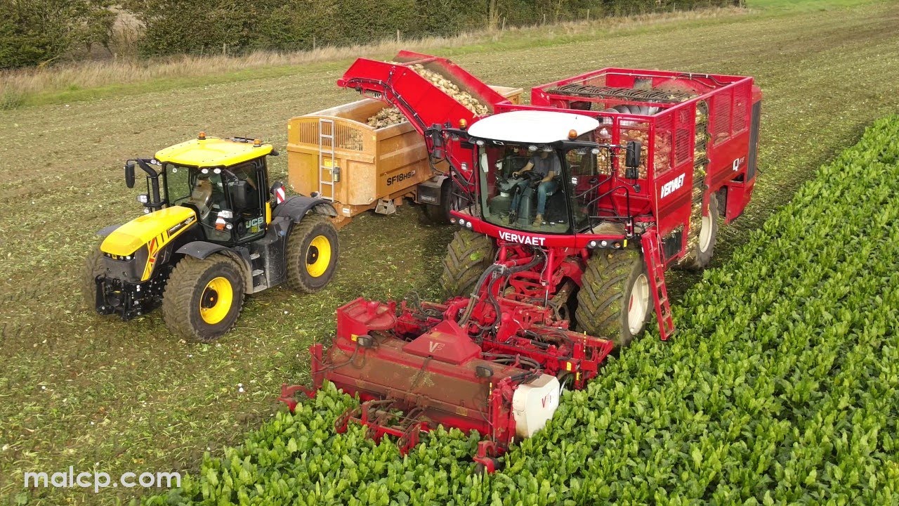 4Kᵁᴴᴰ Harvest 2023: Forrest Farm's Vervaet Q-616 sugar beet harvester in Mickfield, Suffolk.