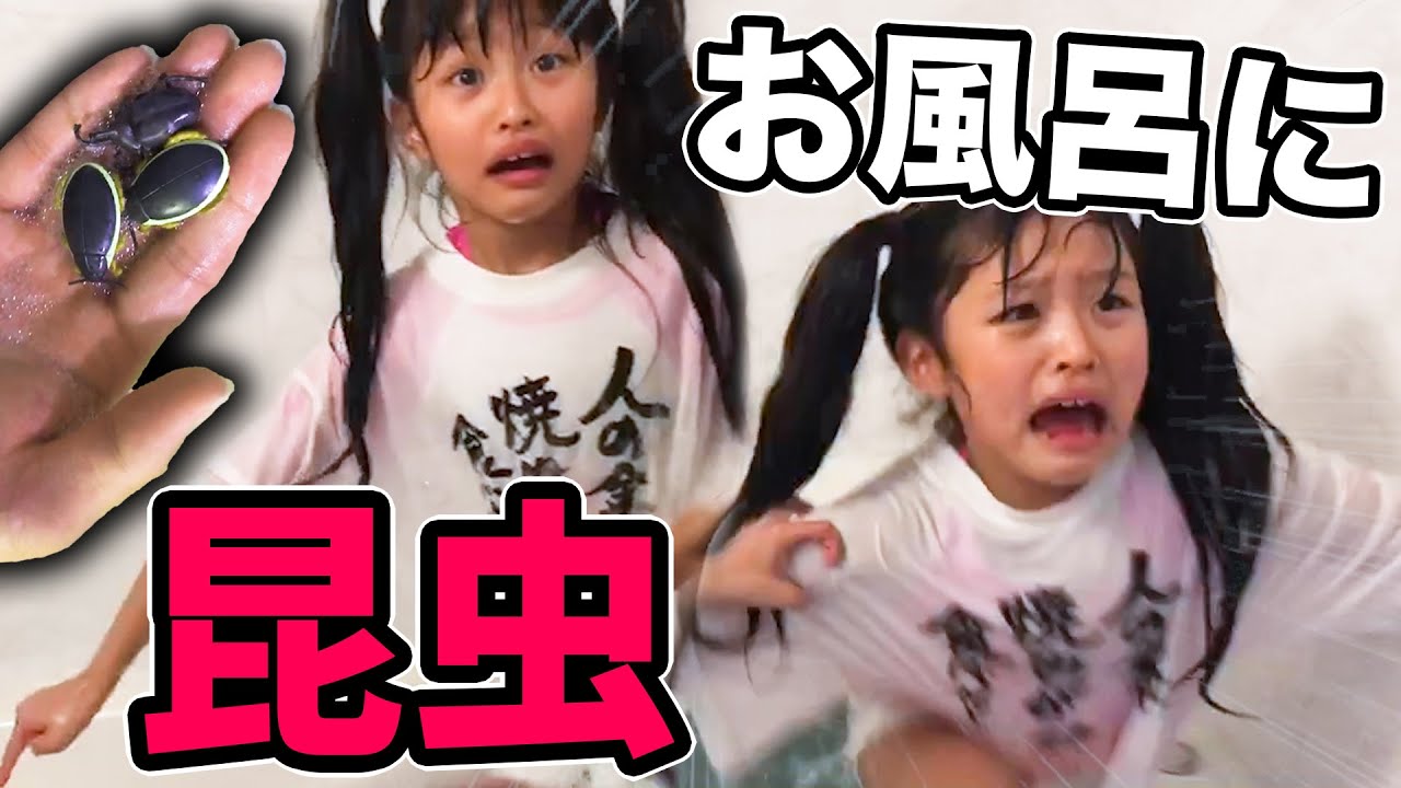 【ドッキリ】泡風呂の中から虫が出てきたら・・・！？昆虫バスボール【ここのの】