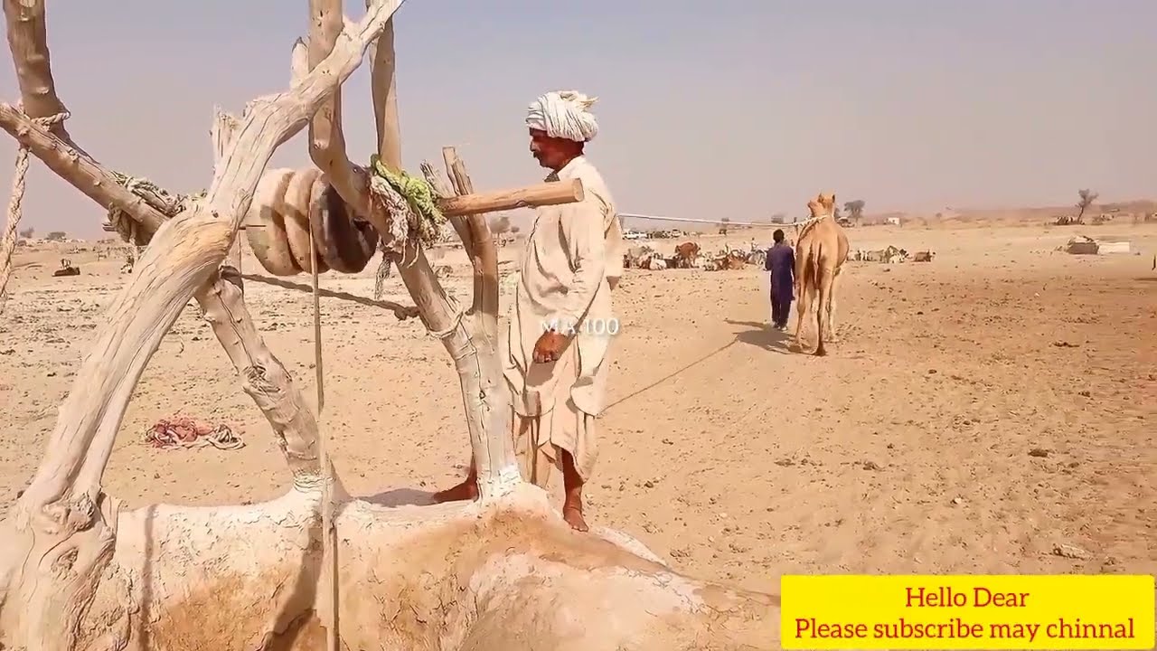 water method in desert #desert life 🐪 #desert #life #reels