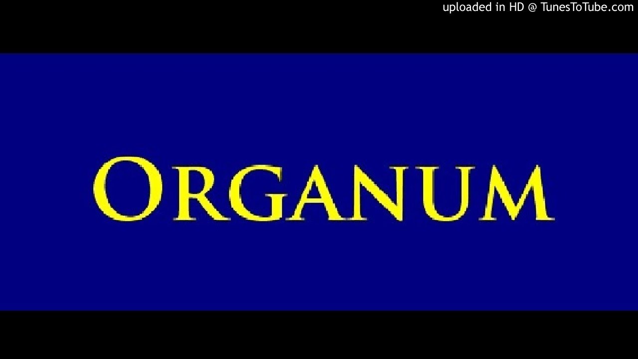 Organum, 03.01.2015. (Mario Perestegi, HKR) - gost: Andro Čalo