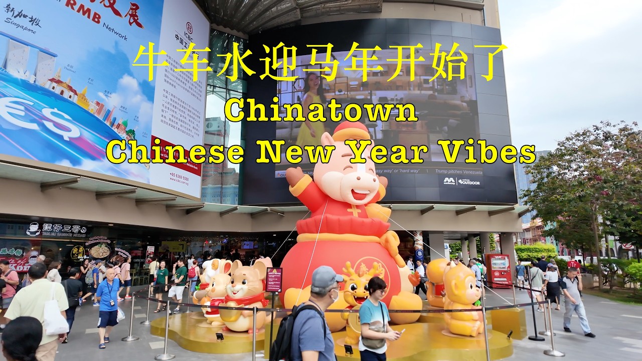 Chinatown Chinese New Year Vibes 牛车水迎马年开始了 #singapore #chinesenewyear #chinatown #牛车水 #马年