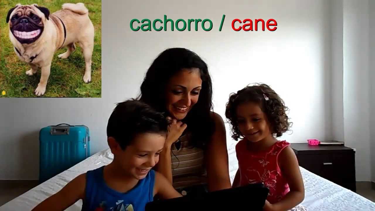034 - Aprenda italiano - Animais