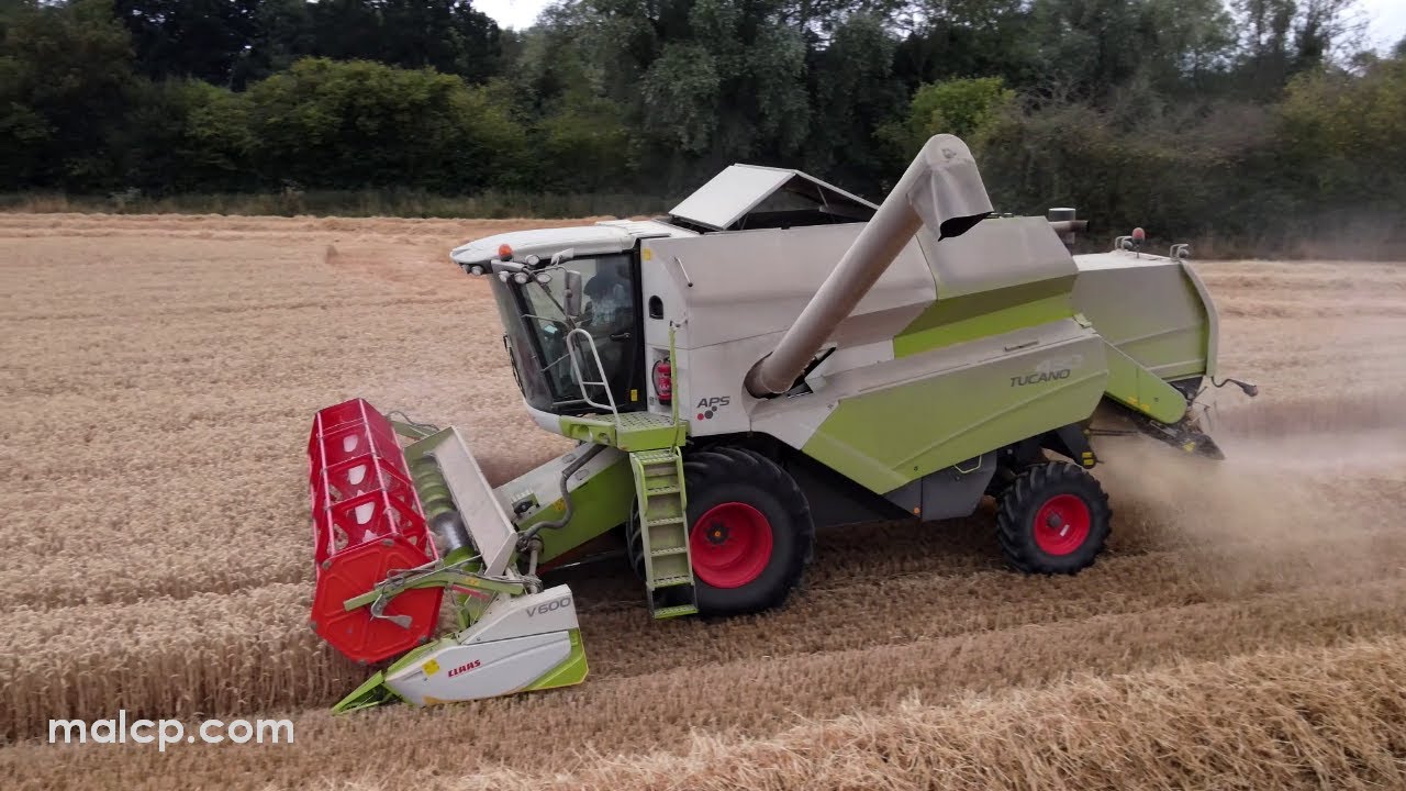 Harvest 2022: Dusty Claas Tucano cutting wheat near Worlingworth, Suffolk