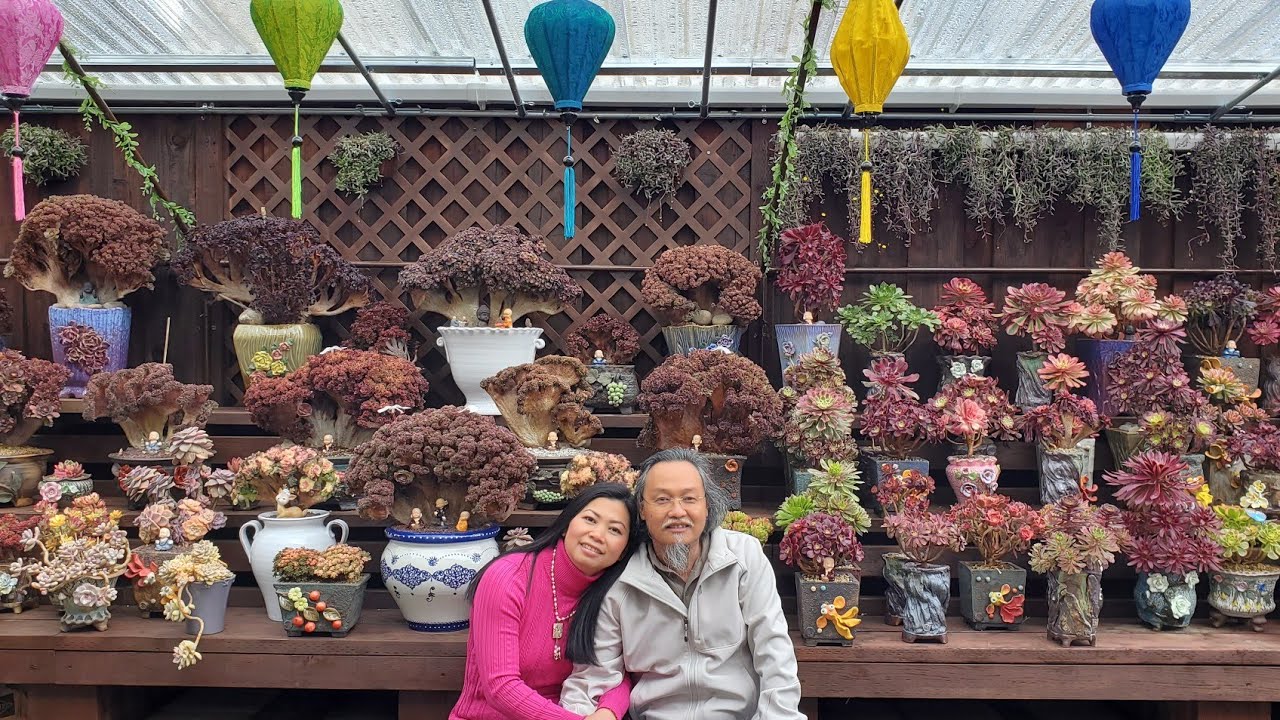 Succulent Korean rare crested collection L&V Garden Vườn Sen đá  độc lạ đẹp Liên Nguyên USA 03/04/23