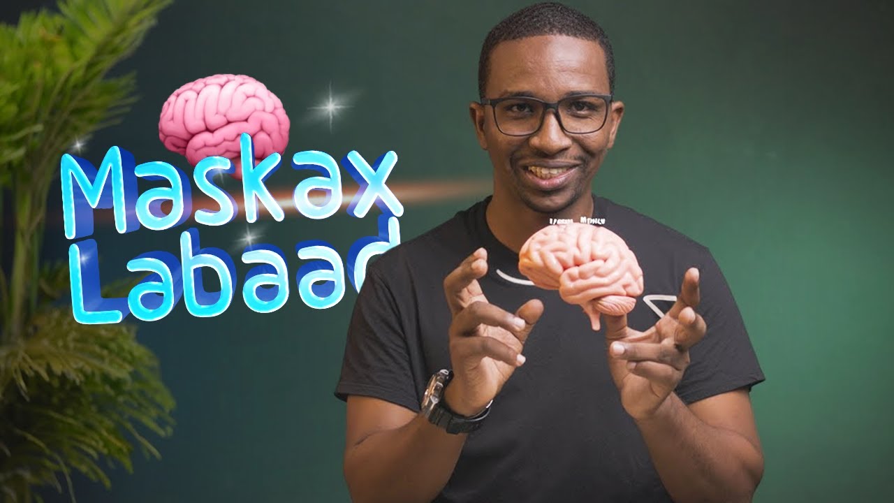 Maskax Labaad 🧠