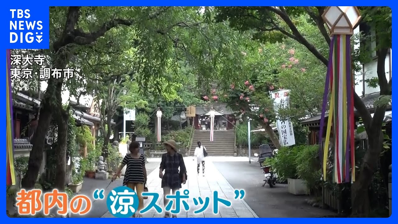 &ldquo;猛暑知らず&rdquo;8月平均気温27℃の避暑地・北茨城市＆都心からアクセス良好の深大寺が人気！涼しさの理由とは？｜TBS&nbsp;NEWS&nbsp;DIG