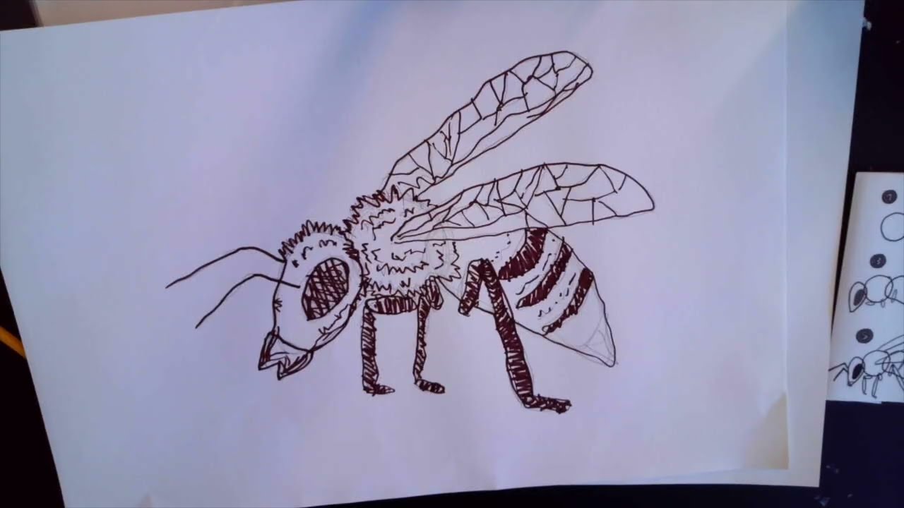 Non Dominant Hand Drawing of a Bee