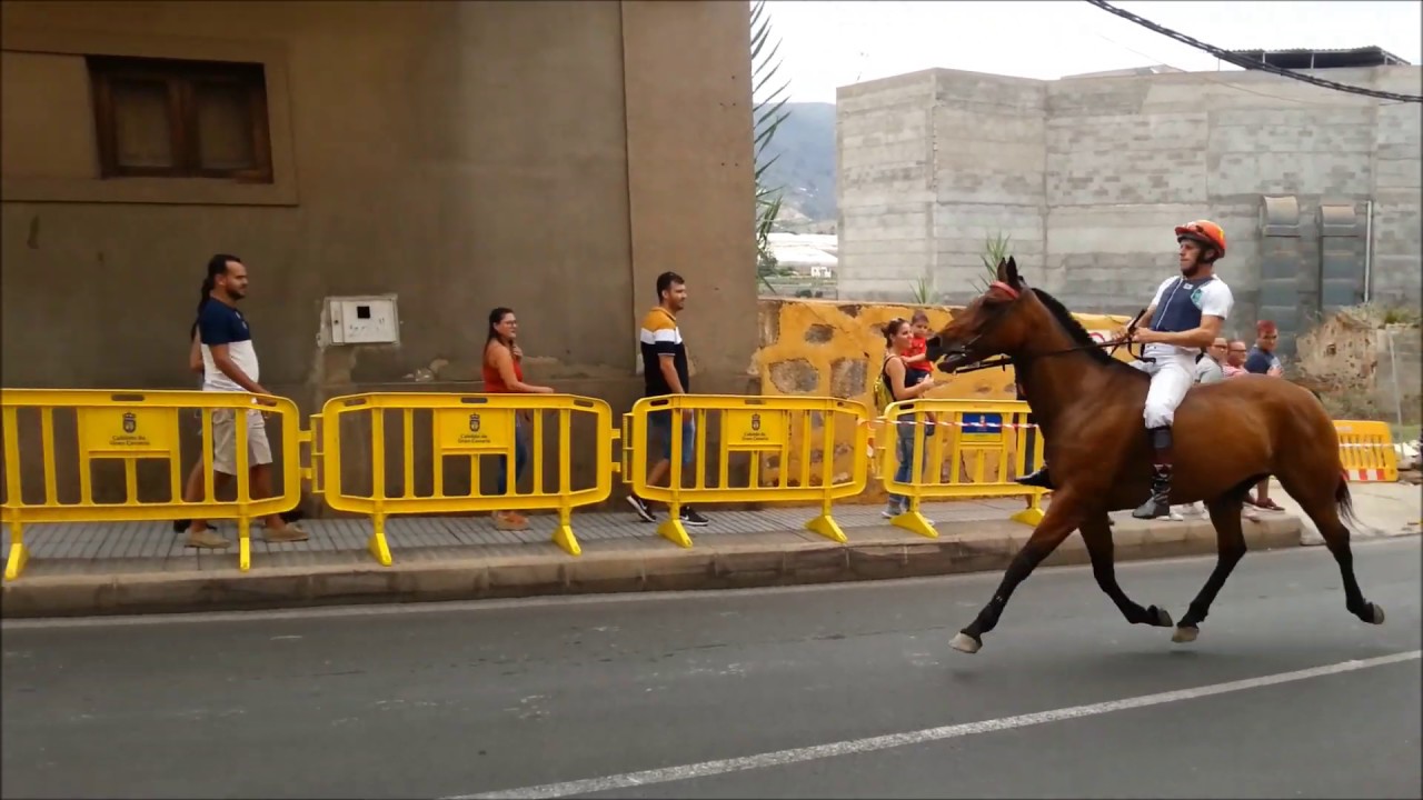 CARRERA DE CABALLOS EN GÁLDAR 2019