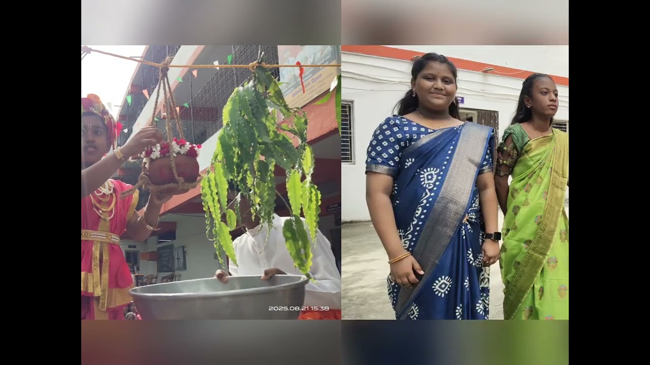 Saraswati vidhya mandir marathi medium school  kelkarwadi wardha School Activity