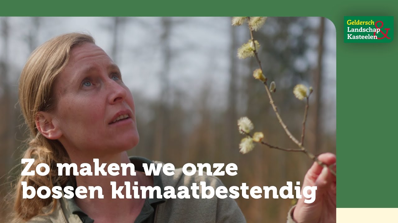 Opbrengst actie klimaatbestendige bossen