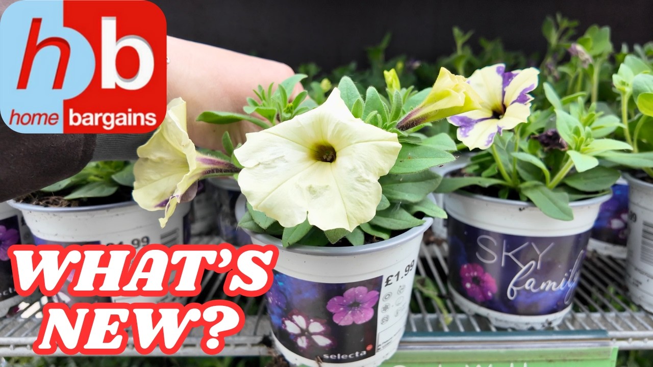 What's New in HOME BARGAINS - NEW Gardening Arrivals - May 2026