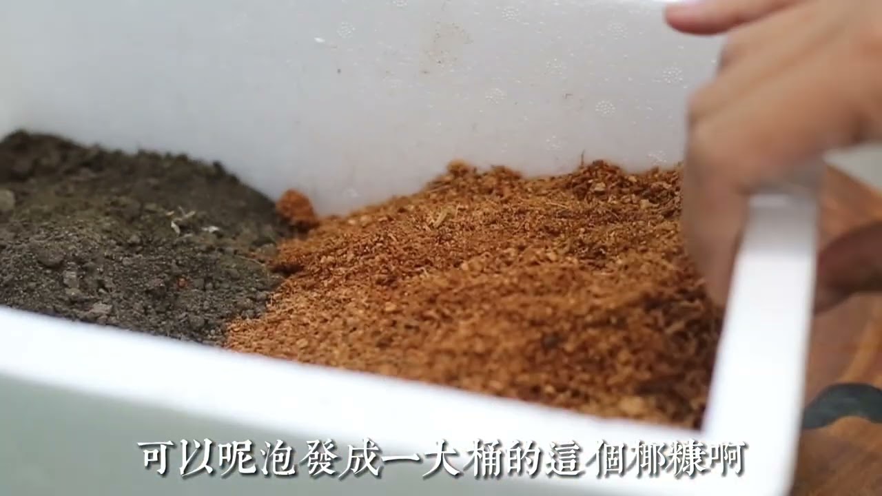 种多肉植物用什么土壤？园艺师教你，如何配置多肉土壤