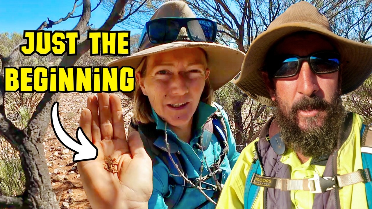 You won't believe how many nuggets we found!