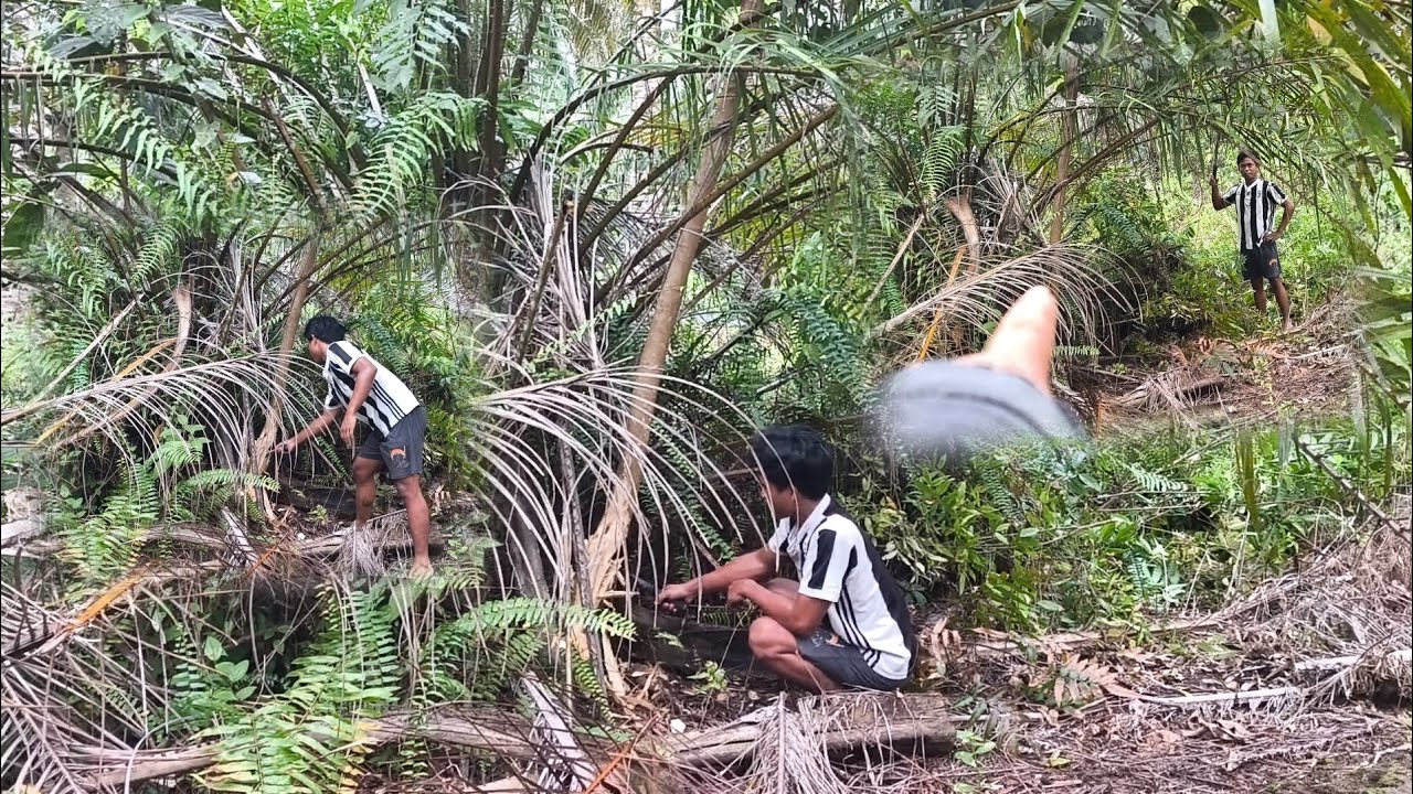 BERSIH-BERSIH ANAK KAYU YANG SUDAH SEBESAR KAKI ORANG DEWASA