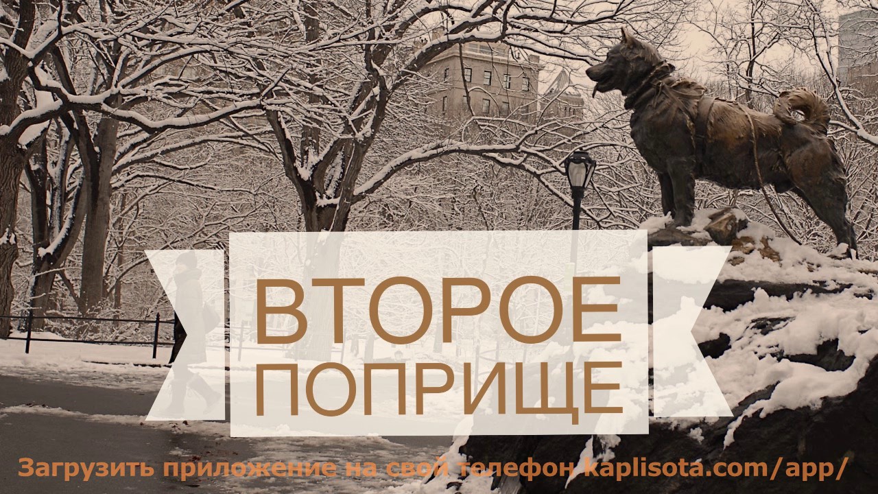 Второе поприще - Дэвид Гиббс (Матфея 5:41)
