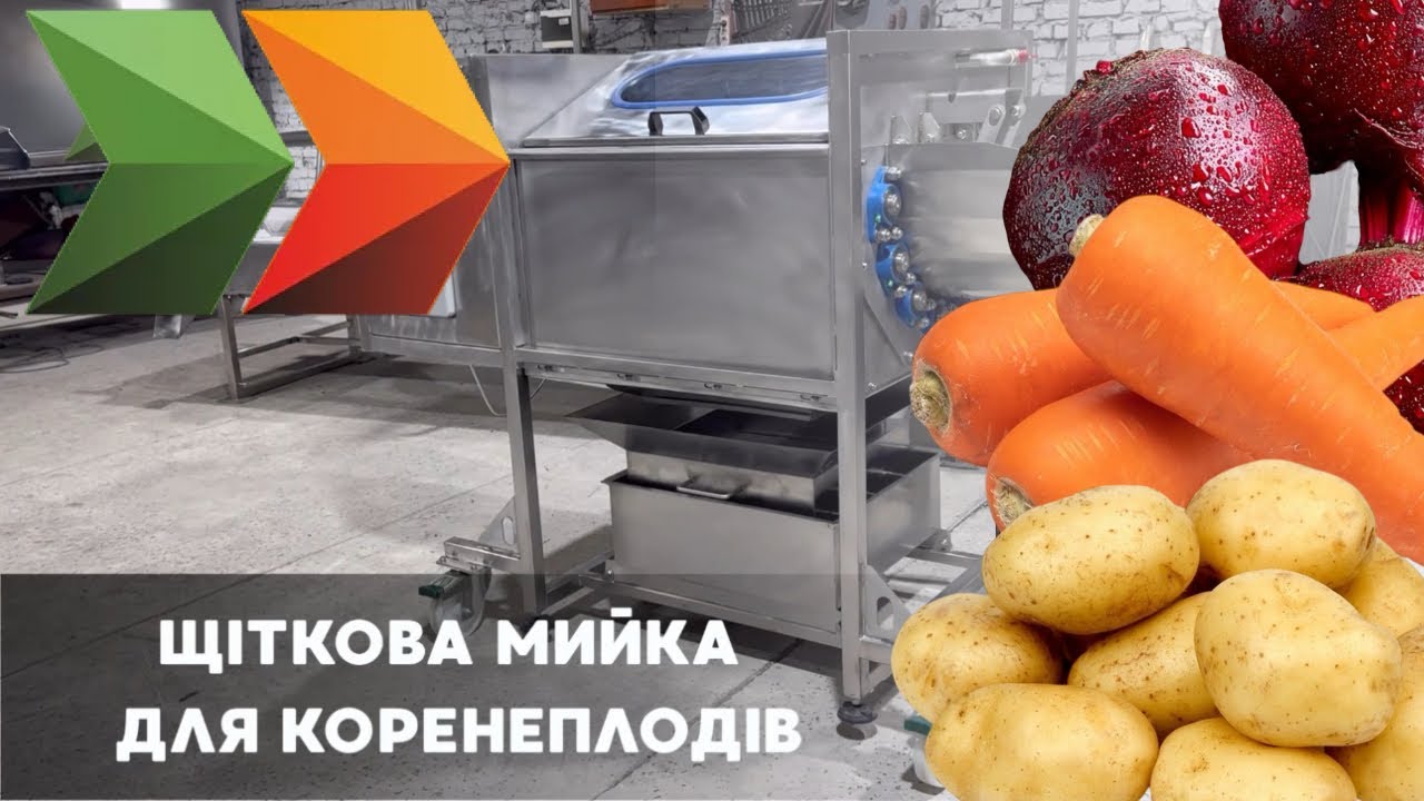 Щіткова мийка для коренеплодів від INSORTEX 