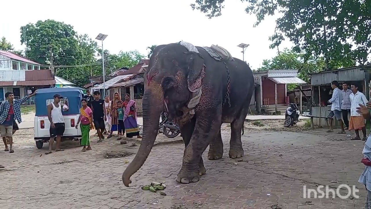Sunai Bazaro mayung phai mani video