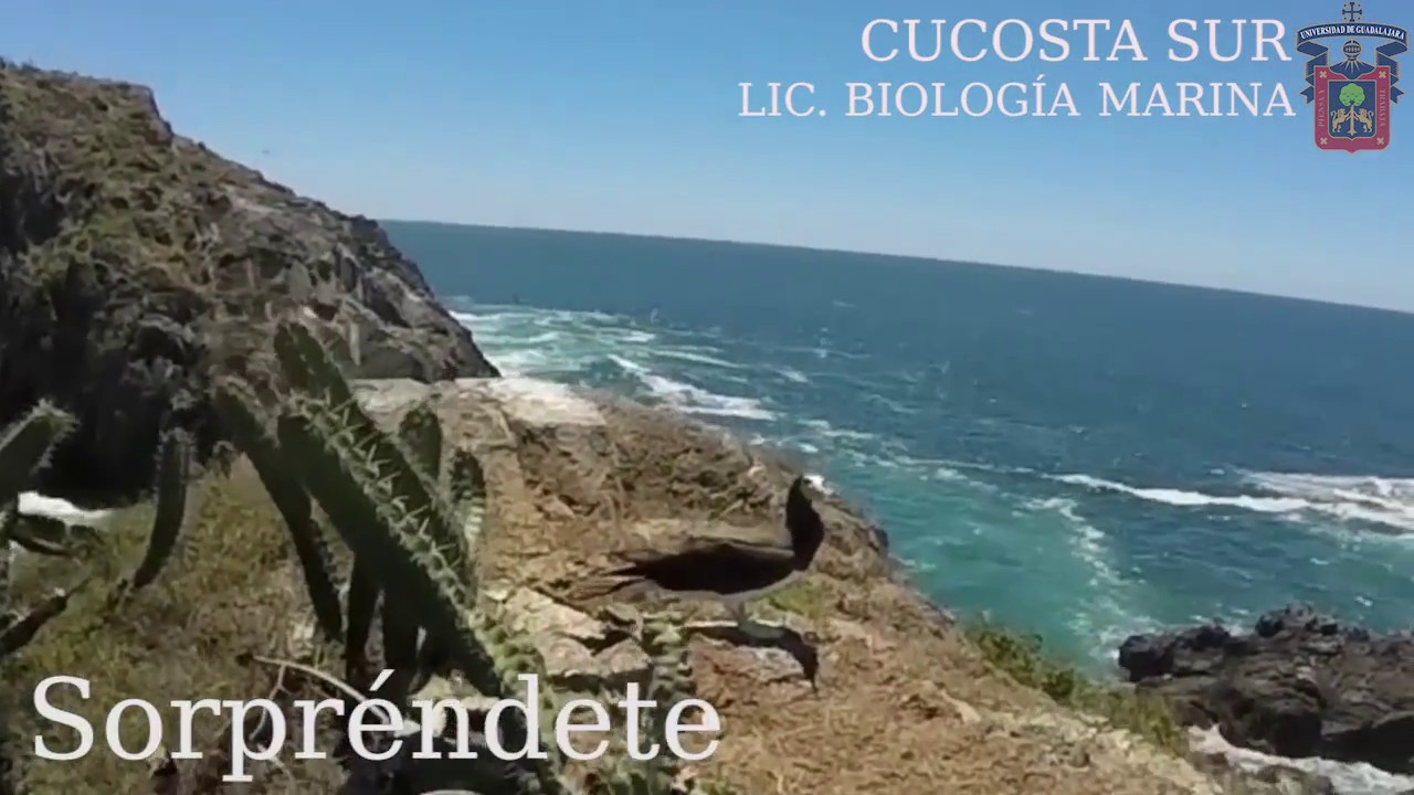 BIOLOG&Iacute;A MARINA CUCSUR UDG