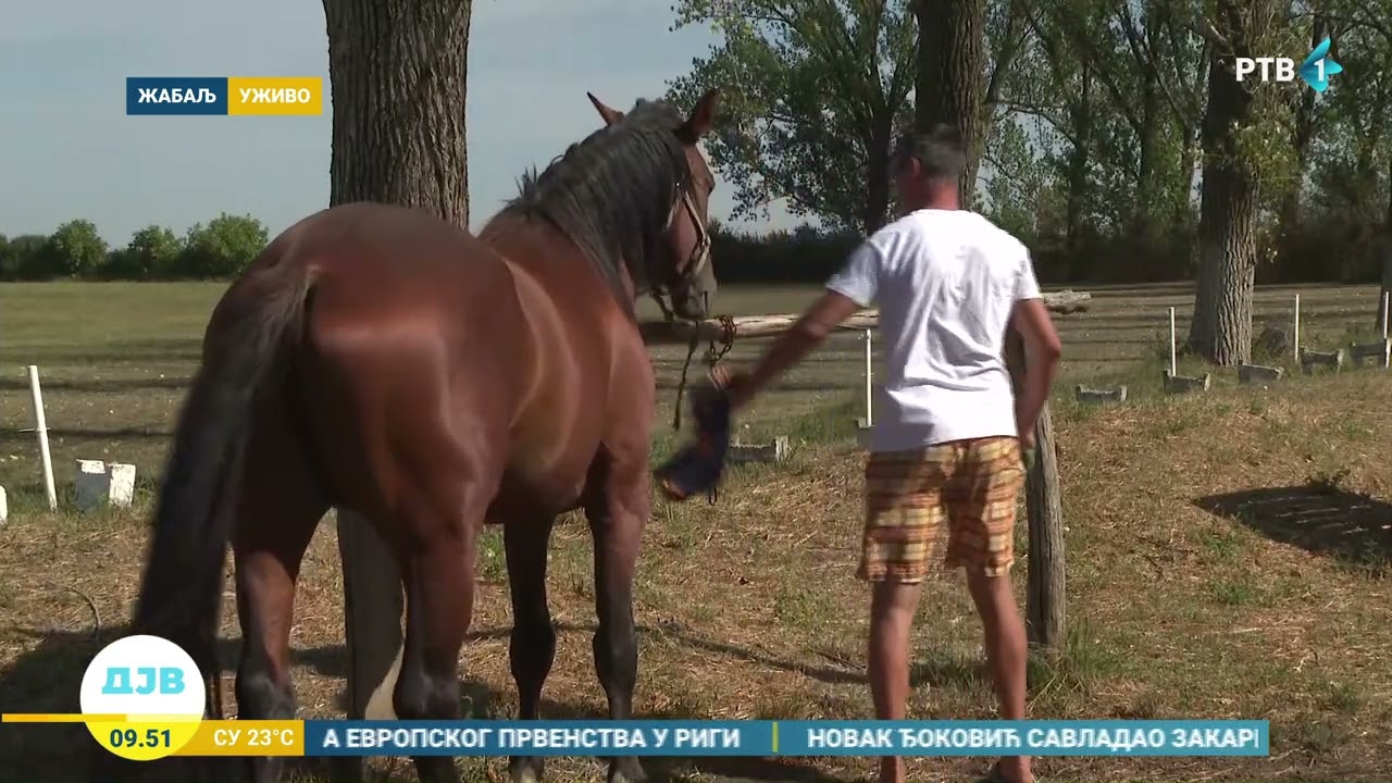 Konjički klub iz Žablja čuva konjičku tradiciju