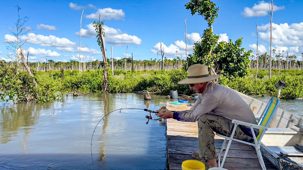 Não acredito como não quebrou a vara de bambu! Pescaria de Piau na ceva boa. Piau frito no almoço