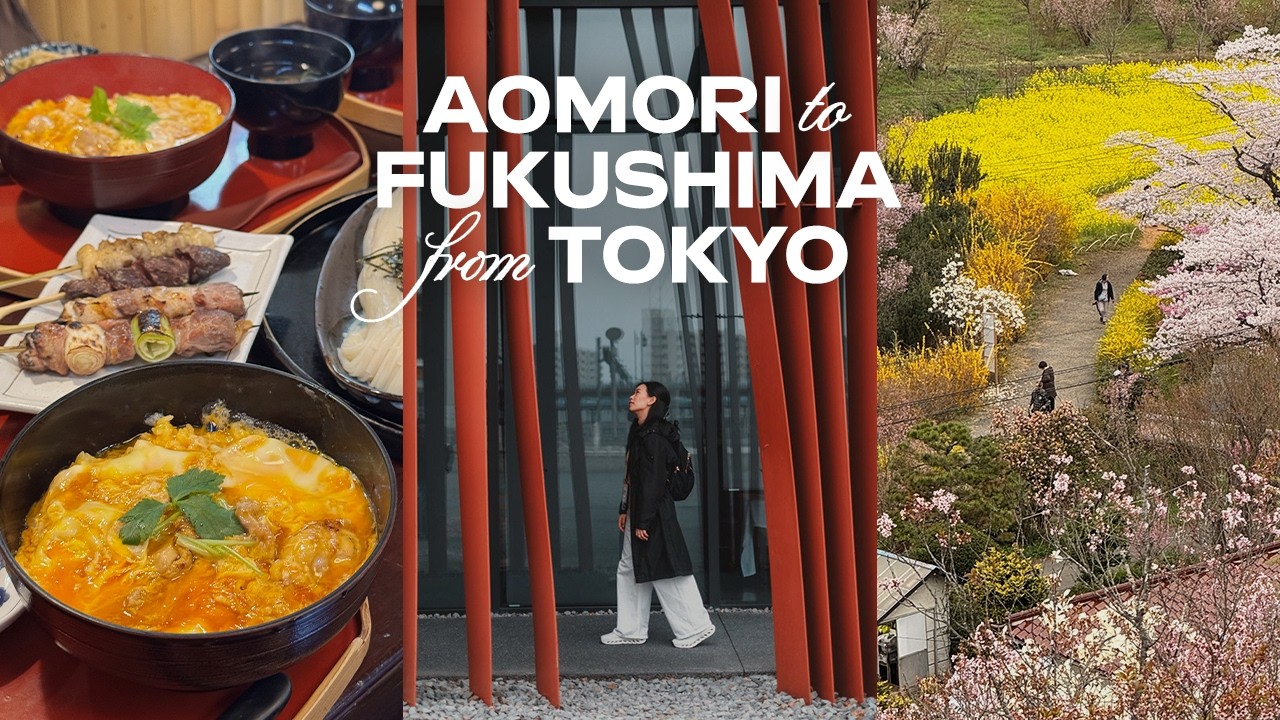 spring in aomori, kakunodate, fukushima onsen & park 🌸 5 days jr east pass tohoku japan travel vlog