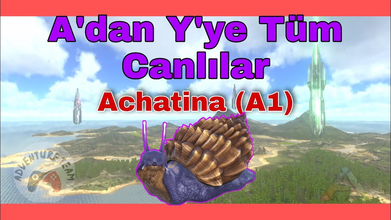 A'dan Y'ye Ark Mobile Canlıları | Achatina | A1